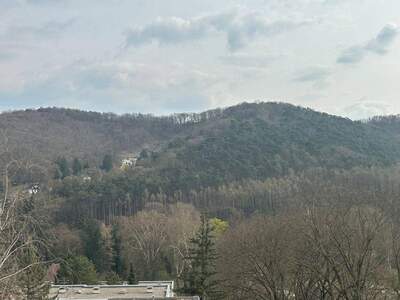 Wohnung kaufen in 3400 Klosterneuburg