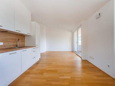Etagenwohnung mieten in 5661 Rauris