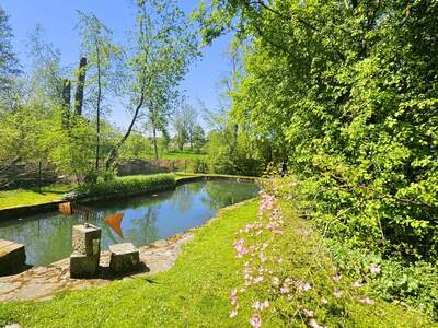 Haus mit Garten kaufen in 4611 Hundsham (Bild 3)