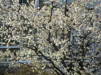 Eigentumswohnung in 4020 Linz