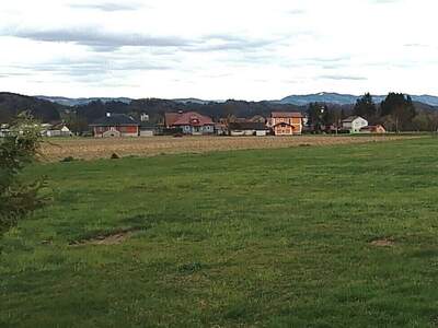 Gewerbeobjekt kaufen in 8443 Gleinstätten (Bild 5)