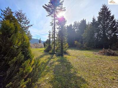 Grundstück kaufen in 2823 Pitten