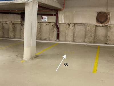 Halle / Lager / Produktion mieten in 4600 Wels (Bild 1)