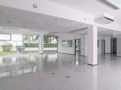 Gewerbeobjekt mieten in 2345 Brunn (Bild 1)