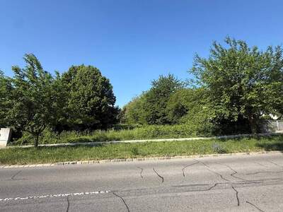 Grundstück kaufen in 7035 Steinbrunn