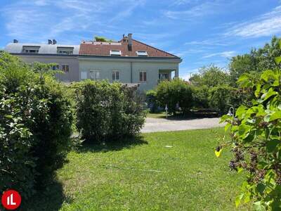 Büro / Praxis mieten in 2320 Schwechat (Bild 5)