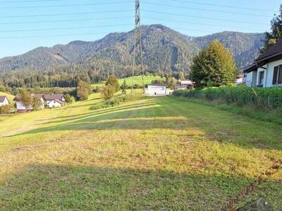 Grundstück kaufen in 8662 Mitterdorf (Bild 3)