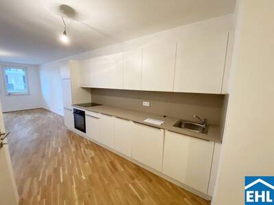 Terrassenwohnung mieten in 1100 Wien (Bild 3)