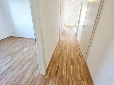 Terrassenwohnung kaufen in 1220 Wien (Bild 1)