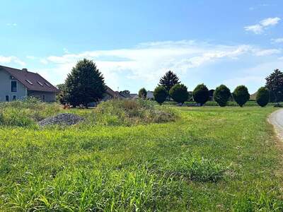 Grundstück kaufen in 8403 Bachsdorf (Bild 4)