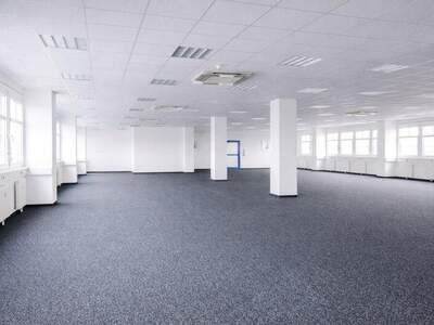 Büro / Praxis mieten in 2351 Wr. Neudorf (Bild 1)