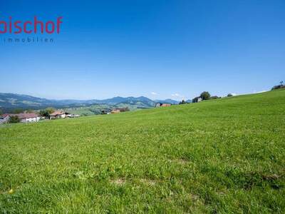 Grundstück kaufen in 6861 Alberschwende