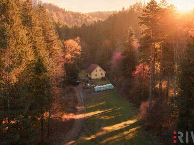 Einfamilienhaus kaufen in 2831 Warth (Bild 1)