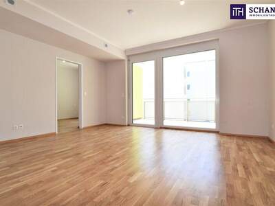 Terrassenwohnung mieten in 2320 Schwechat (Bild 1)