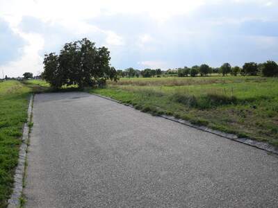 Grundstück kaufen in 7141 Podersdorf (Bild 5)