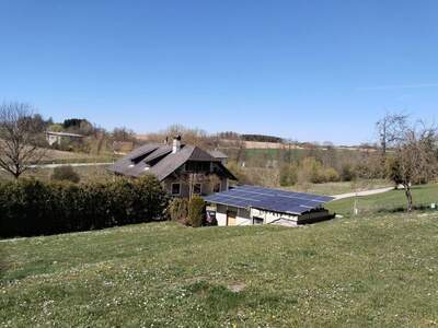 Grundstück kaufen in 4502 Sankt Marien (Bild 3)