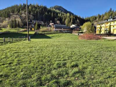 Grundstück kaufen in 8983 Bad Mitterndorf (Bild 4)