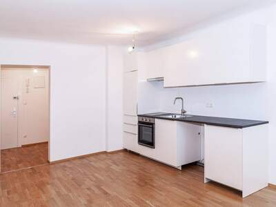 Wohnung kaufen in 1120 Wien