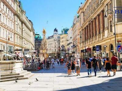 Einzelhandel mieten in 1010 Wien