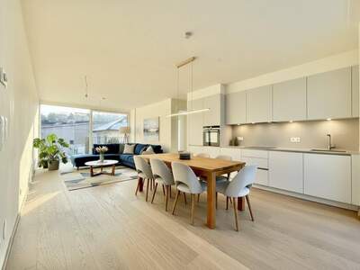 Anlageobjekt kaufen in 1190 Wien