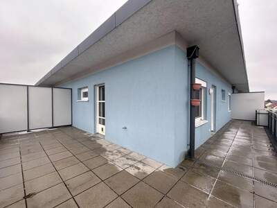 Wohnung mieten in 3133 Traismauer (Bild 5)