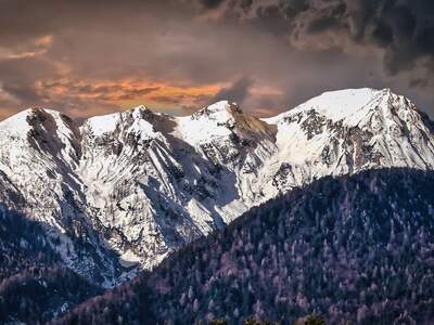 Grundstück kaufen in 9184 St. Jakob (Bild 4)