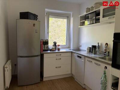 Terrassenwohnung mieten in 4594 Grünburg (Bild 4)