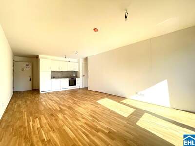 Wohnung mieten in 1220 Wien