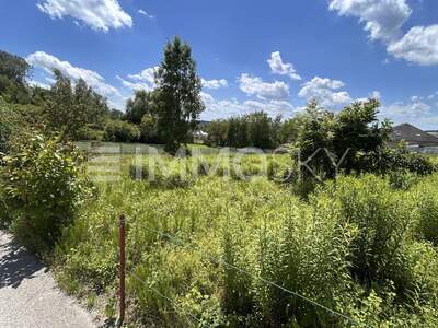 Grundstück kaufen in 4311 Schwertberg (Bild 2)