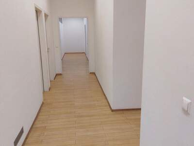 Gewerbeobjekt mieten in 1010 Wien (Bild 4)