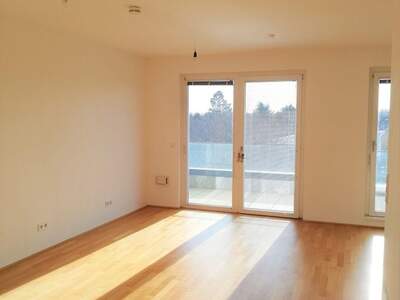 Wohnung mieten in 1220 Wien (Bild 3)