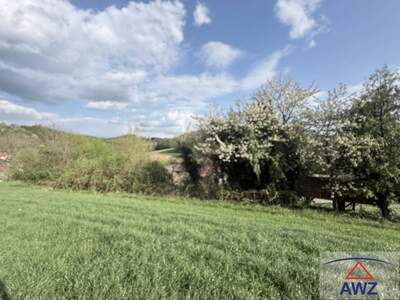 Gewerbeobjekt kaufen in 8230 Hartberg