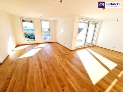 Terrassenwohnung kaufen in 1230 Wien (Bild 3)