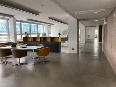 Gewerbeobjekt mieten in 1010 Wien (Bild 3)