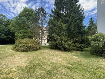 Wohnung kaufen in 2500 Baden