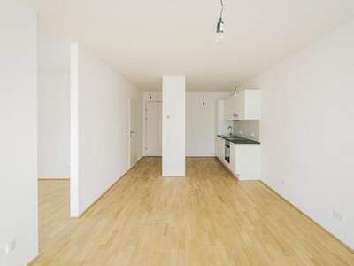 Wohnung mieten in 2000 Stockerau