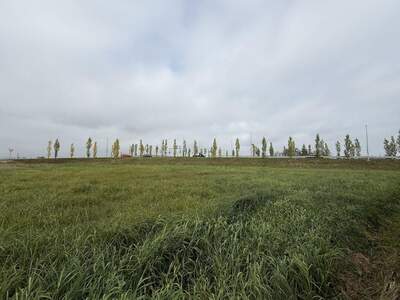 Gewerbeobjekt kaufen in 6971 Hard (Bild 4)