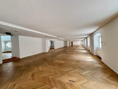 Gewerbeobjekt mieten in 1010 Wien