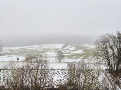 Gewerbeobjekt kaufen in 3233 Kilb