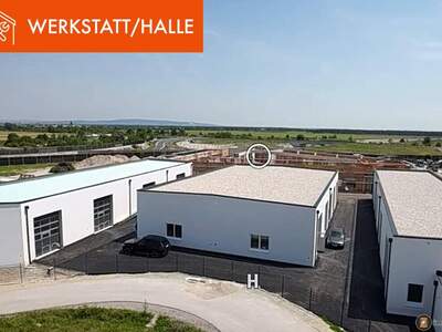 Anlageobjekt kaufen in 2601 Sollenau