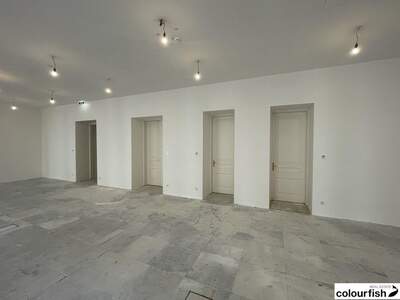 Gewerbeobjekt mieten in 1010 Wien (Bild 3)