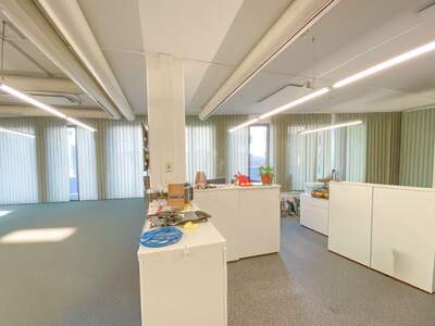Gewerbeobjekt mieten in 4040 Linz (Bild 2)