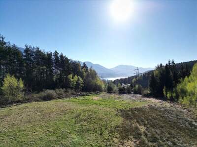 Grundstück kaufen in 9851 Lieserhofen