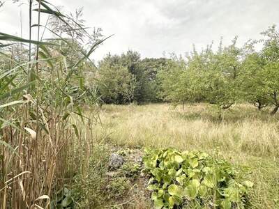 Grundstück kaufen in 2721 Bad Fischau (Bild 2)