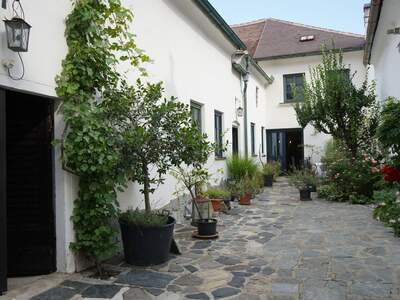 Haus mit Garten kaufen in 3500 Krems (Bild 3)