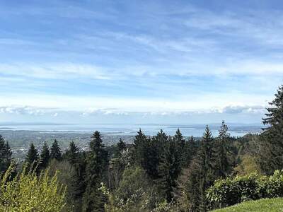 Grundstück kaufen in 6858 Bildstein