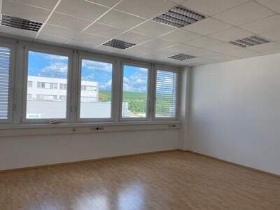 Büro / Praxis mieten in 2544 Leobersdorf (Bild 3)