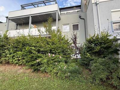 Wohnung mieten in 2700 Wiener Neustadt