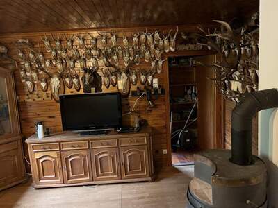 Gewerbeobjekt kaufen in 8302 Nestelbach (Bild 5)