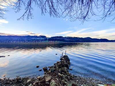 Haus mit Garten kaufen in 5221 Lochen (Bild 2)